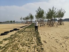 -金沙湖旅游度假区