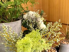 -蝶舍·MAISON PAPILLON