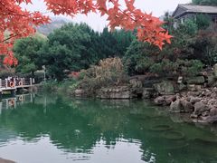 -白马涧龙池景区