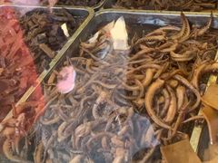 卤鱿鱼须-七星椒卤菜(三圣宫店)