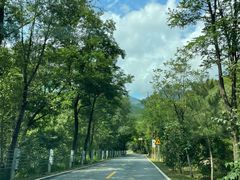 -灵山