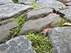 -狼山风景名胜区