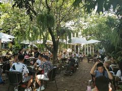 -Fern Forest Cafe