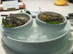 -CHIC1699远洋私厨