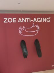 -紫御国际抗衰ZOE ANTI AGING