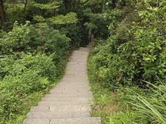 -梧桐山风景名胜区