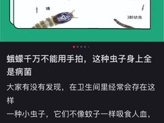 -鹅簋(顺德总店)