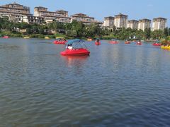 -枫香湖儿童公园