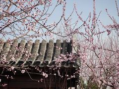 -三里河公园