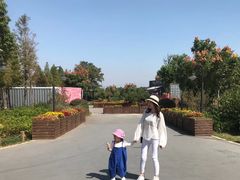 -田园东方蜜桃村的田野营地