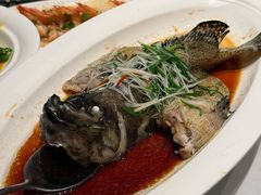 -祥记餐饮•豫粤珍味(金隅大厦店)