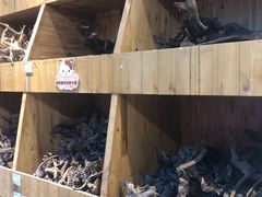 -龟与熊猫宠物公园(南坪店)