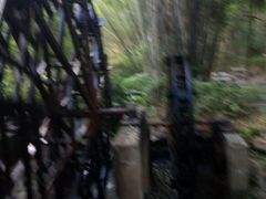 -大屏嶂森林公园