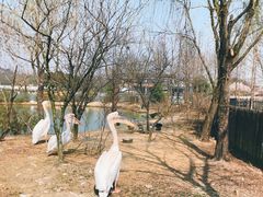 -上方山森林动物世界