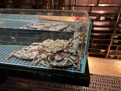 -璞御·海鲜·雪花牛肉局(宾水西道店)