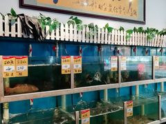 -鑫悦楼煎蟹·16年海鲜大排档