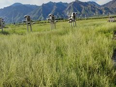 -敕勒川草原文化旅游区