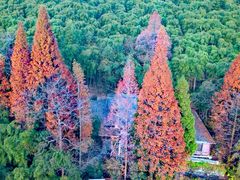 -莫干山风景区