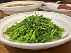 清炒茼蒿-二泉园老菜馆·百年无锡菜