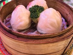 -憶廟街 X 沙角邨(太古城店)