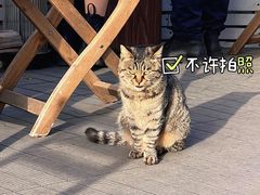 -前叁門