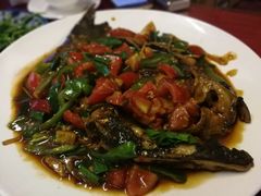 -生态苑农庄(十里画廊遇龙河店)