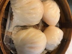 -添运来(茶园奥园广场店)