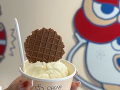 -CREAM STORY意大利手工冰淇淋&甜品(万象前海店)