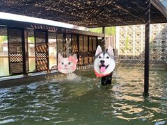 -春晖园度假酒店温泉