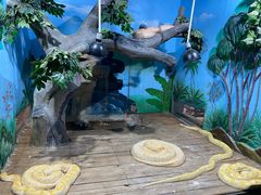 -石家庄市动物园