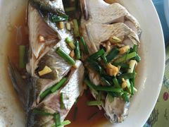 老字号南花桥羊肉馆-南花桥羊肉馆老字号(乌镇店)