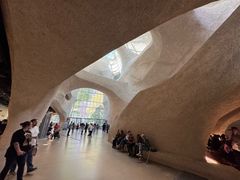 -美国自然历史博物馆