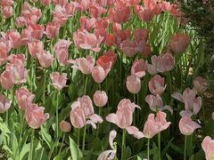 -长春公园(普阳街道)