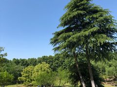 -钟山体育运动公园