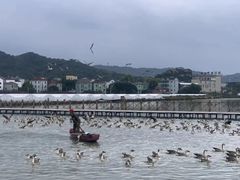 -米果果小镇