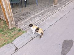 -龙熙温泉高尔夫俱乐部