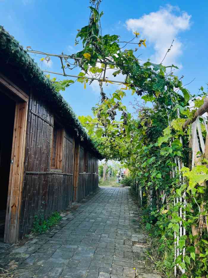 欧野耕读园户外团建拓展