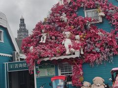 -荷兰花海