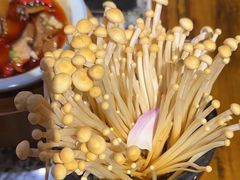 -老牌坊云南鱼豆花火锅(哈西万达店)