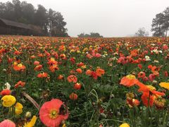 -保利石象湖景区