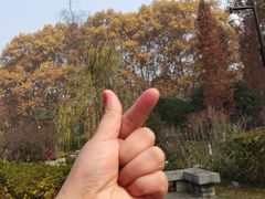 -习家池