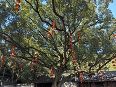 -宁波市保国寺古建筑博物馆