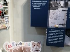 -伟伟宠物医院·CT影像中心·瑞派犬猫综合性门诊(汉口总院)