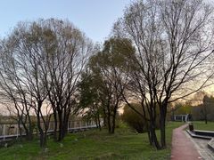 -哈尔滨大剧院