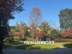 -浙江安吉JW万豪酒店·万豪中餐厅