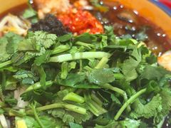 缠绵火锅粉-冒椒火辣(奎星楼街店)
