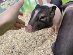 -大玩家(中原万达广场店)