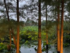 -云龙湖旅游景区