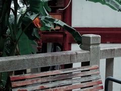 -乌山风景区