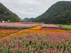 -广州市石门国家森林公园
